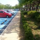 서부공원녹지사업소 이미지