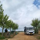 11545-10-14-20 | 산티아고 프랑스길 14일차 후기 | 온타나스-보아디야 델 까미노 | 거리·난이도·꿀팁