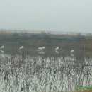 부리농장 이미지