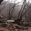 수리산 산림욕장 이미지