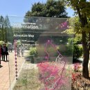 선우공원 생태연못 화장실 | Gyeonggi | 부천 자연 생태공원 무릉도원 수목원 튤립 명소 후기! 봄나들이 완벽 코스🌷 (feat. 부천...