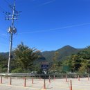 황금사슴농장 이미지