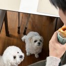 쉐프의 순대국 이미지