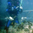 수중산책 이미지