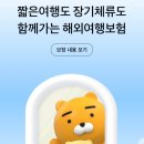 치앙마이 여행준비1 - 해외 여행자 보험 카카오페이 보험 후기