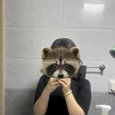 영양하마 | 구리/별내 라파셀,EMS 다이어트 영양하마 후기