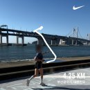 10월 첫째주 일상 포토덤프 (부국제, 더요트 요트투어, 아웃트로바이비토..부산위주!!)