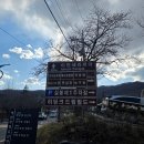 이천시 설봉공원 테니스장 | 이천 벚꽃 명소 설봉공원 개화 실시간