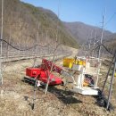 김종화농장 이미지