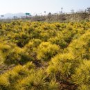 김복철농장 이미지