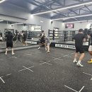 아비요 복싱 언양관 | 언양복싱 아비요 연령불문 복싱운동 취미로 시작해보세요