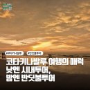 (주)신성엔터테인먼트 | 코타키나발루 여행의 매력 낮엔 시내투어, 밤엔 반딧불투어