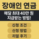 401010 | 장애인 연금, 매달 최대 40만 원 지급받는 방법! 신청 조건부터 리얼 후기까지 총정리