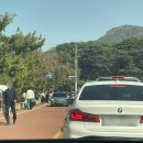 김가네민박 | 왕인문화축제 전남 영암벚꽃구경 후기 (주차 꿀팁)