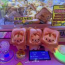 캐칭덕 오락실 이미지