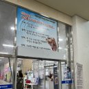 동해 묵호항 수산시장 회 포장 맛집_복마니수산 내돈내산 후기
