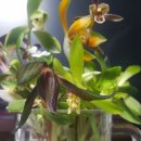 남원미래농장 이미지