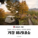 경남의 스위스 거창 미리내숲 캠핑장 정보 및 해왕성 후기와 포토존