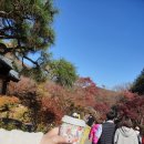 아랑수산