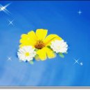 조가비(주) 이미지