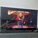 최수현농장 | 열심히 사는 나 자신