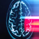 CW-1600-01 이미지