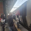 세종시 부강면 복두산281.유모산342.남성봉108 이미지