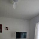 버디 | 괴산 애견동반펜션 스테이버디 내돈내산 후기