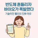 머크(주) | 바이오주 전망, 반도체 흔들리자 치고 올라온 제약바이오 기술이전 랠리