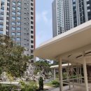 롯데스카이어린이집 | 원당역 롯데캐슬 스카이엘 임장 후기, 고양시 3호선 초역세권 신축 대단지