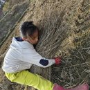 화천흑염소농장 이미지