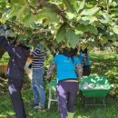 둔포면 행정복지센터 이미지