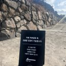 아날로그감귤밭 | 겨울 제주 여행 추천｜아날로그감귤밭 유기농 감귤체험 후기 (1인 8천원)