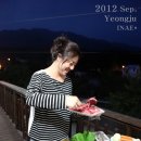 부석사아래단풍길펜션 이미지