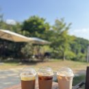오곡 오지 | 용인 애견운동장 테일45 프라이빗 대관 아기랑 이용후기, 진심 힐링