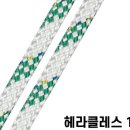 진아부식