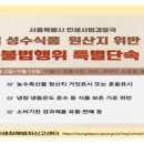 돼지와 건강 이미지