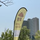 김선생펫푸드