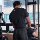 팀타이거짐 이미지