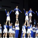 The 뉴 태권도 이미지