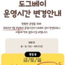 도그베이 이미지