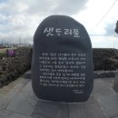 샛도리물 이미지