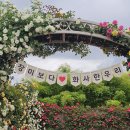 곡성 감성이 가득한 갤러리 카페 낭만가옥 내돈내산 후기