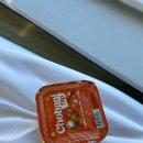 해피트리공원 테니스장 | 뉴욕여행 6 (허드슨리버공원, 덤보브릿지, 브루클린...에싸베이글 솔직후기, 브루클린 플리마켓 디카...