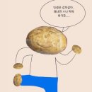 잣미 이미지