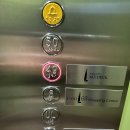 주경선박 | 베트남 호치민 여행 가볼만한곳 사이공 비텍스코 파이낸셜 타워 스카이덱 전망대 후기