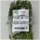 완사천 | 당일 수확 봄 미나리 배송 후기 온새미로 세척미나리