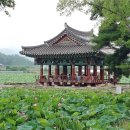웰빙버섯