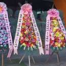 서강피앤디