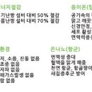 흥천농협하나로마트 이미지